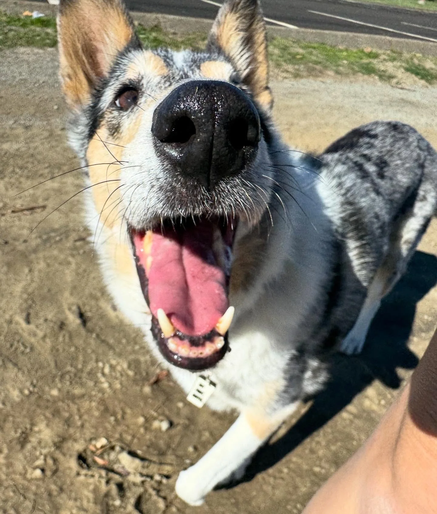 &ldquo;I&rsquo;m 10!&rdquo;