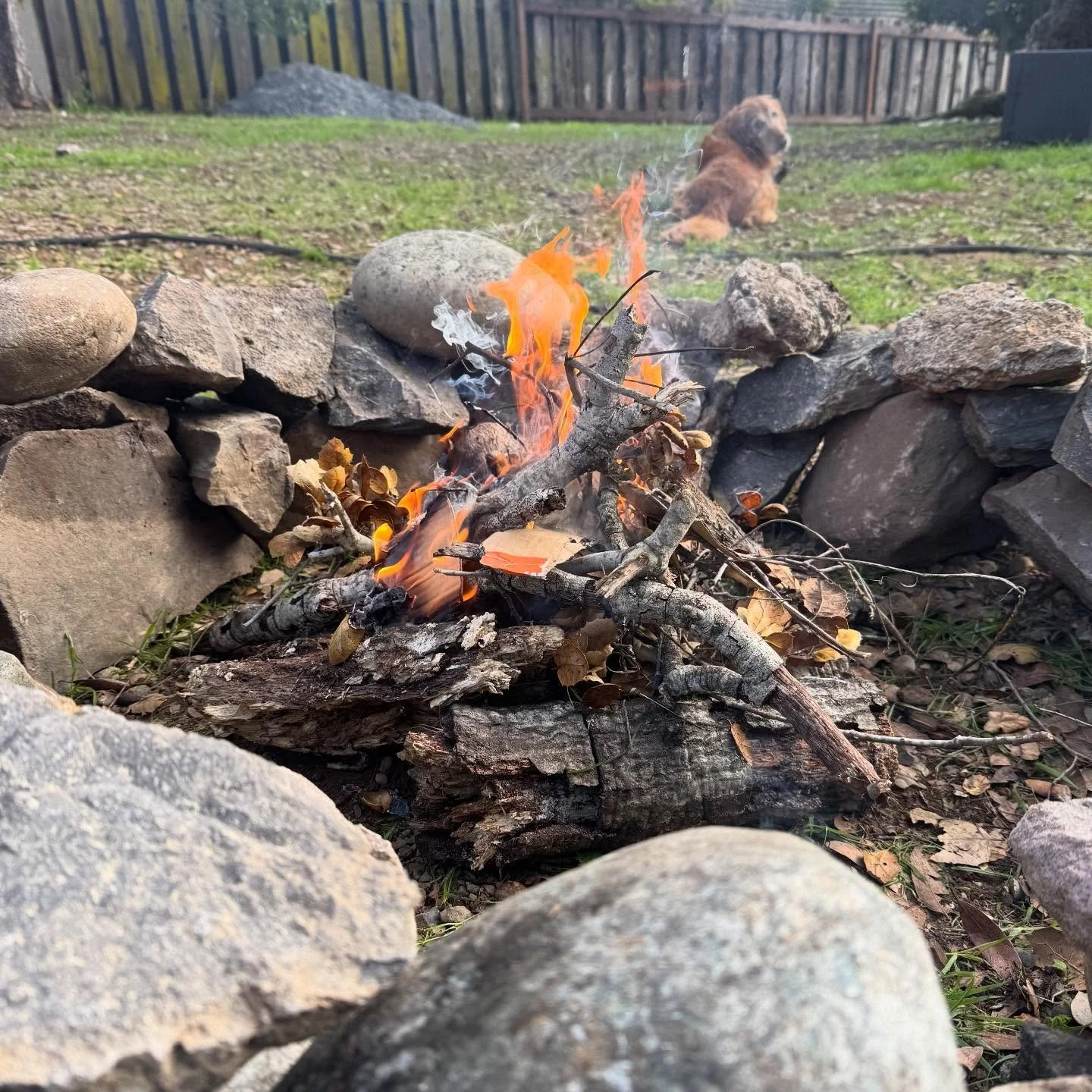 Got to meet @haze_1060 new puppy today! Then we built a fire pit and had a fire, cuz neither of us have any idea what &ldquo;chill&rdquo; means. (Hence why she got a malinois 😂)