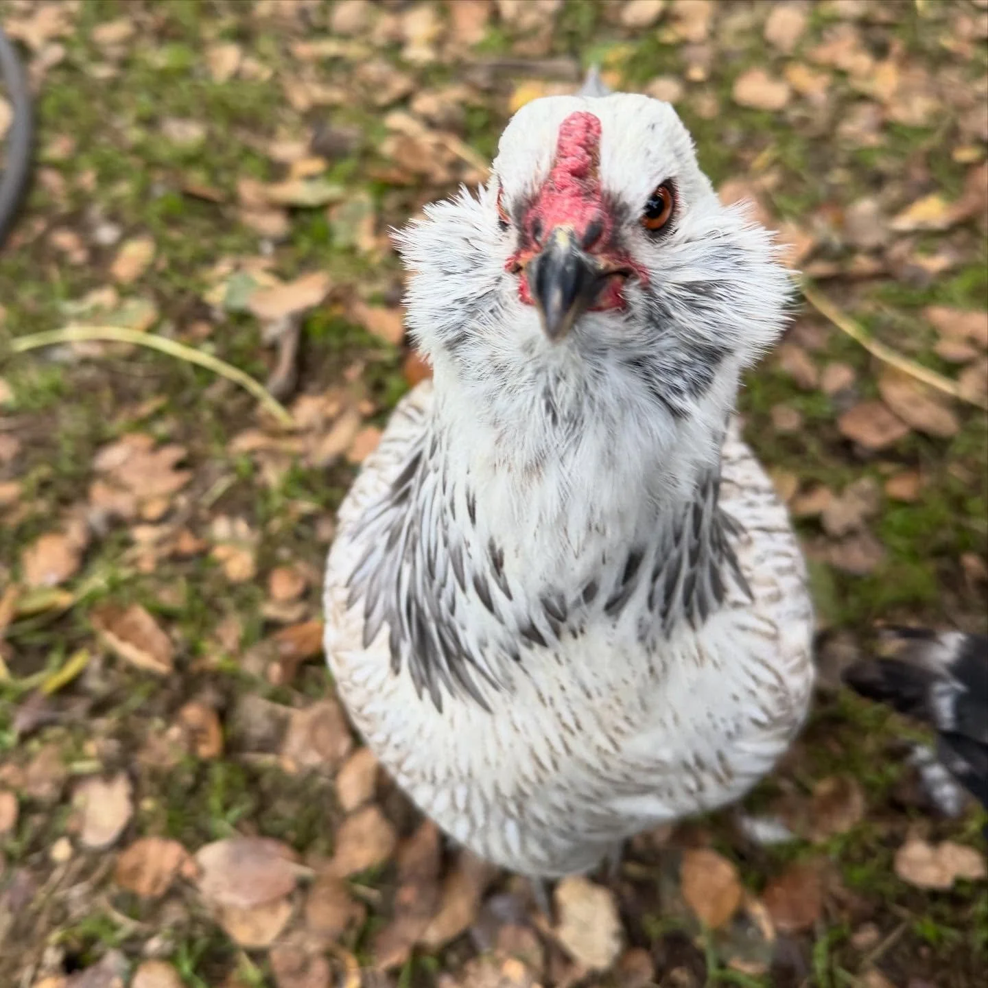 Samantha &hearts;️