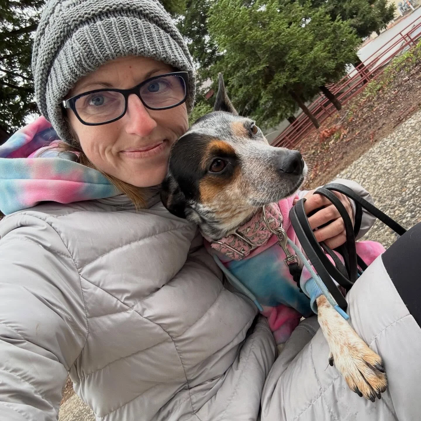 It&rsquo;s that time of year