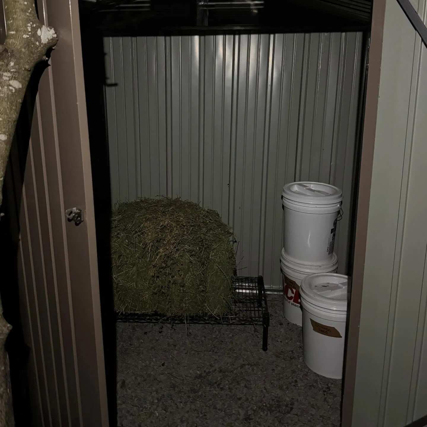 New shed. Again. Yes I finished it with a headlamp.