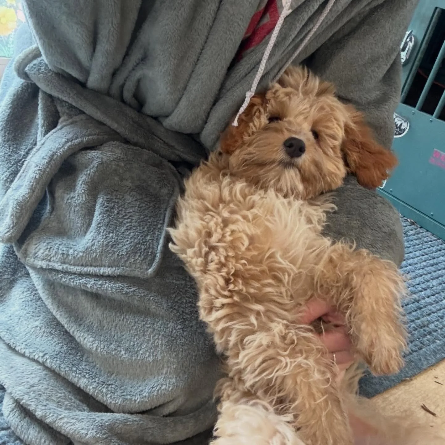 Already did so many running arounds this morning.