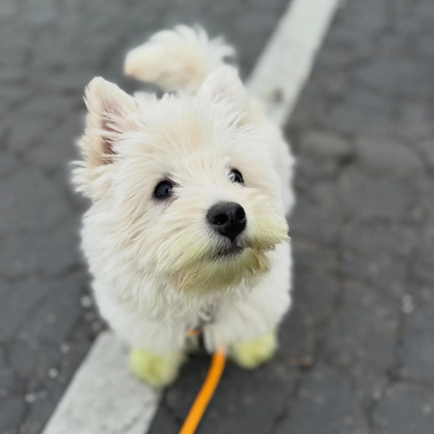 Oh what? I have something on my face?