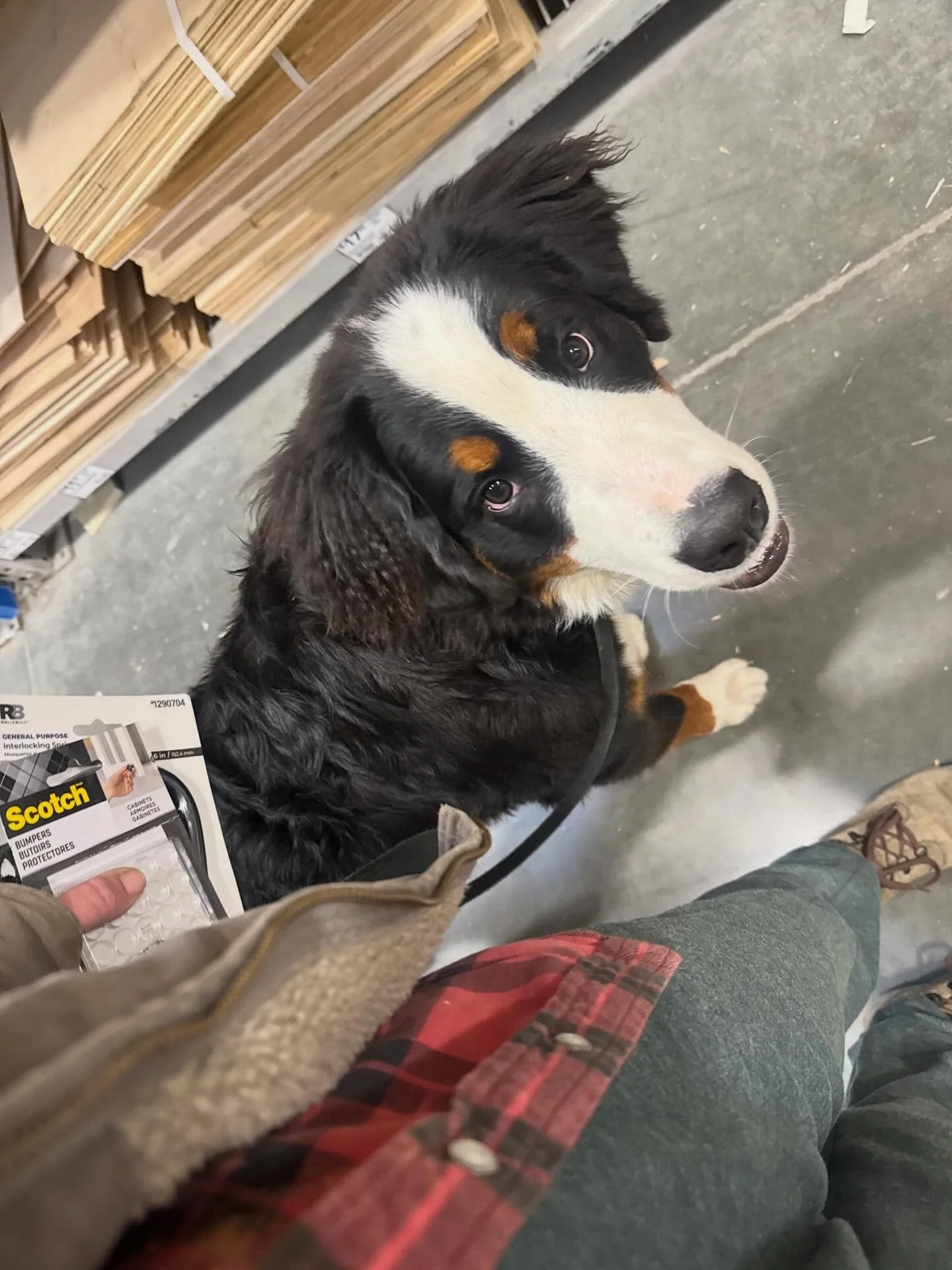 One two three (four) times through Lowe&rsquo;s