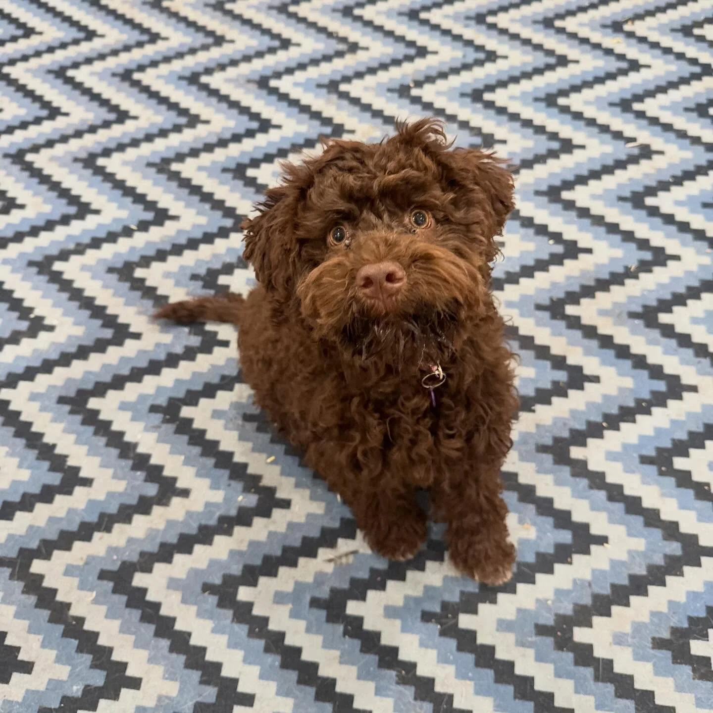 Welcome to Camp Katie little Gemma!