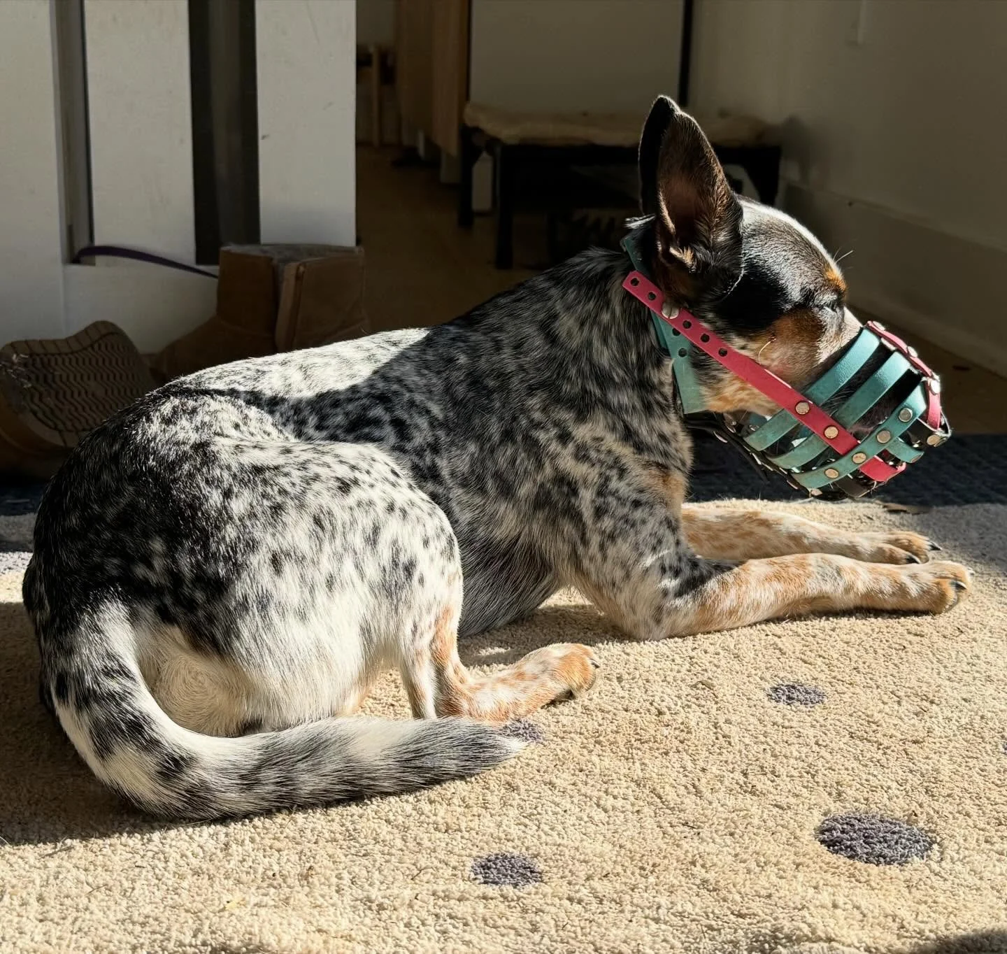 Don&rsquo;t bother me mother