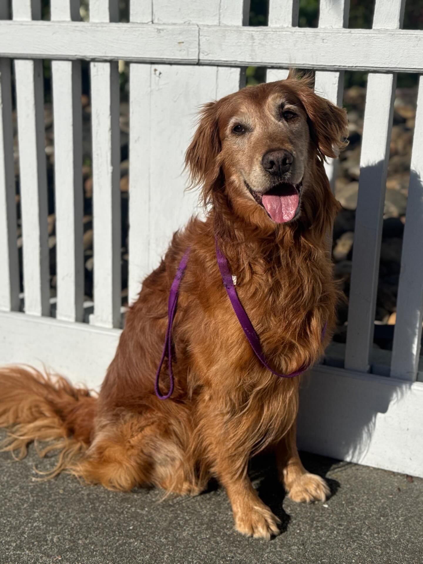 My Lark appreciation has been out of this world recently. He&rsquo;s just such an amazing guy.