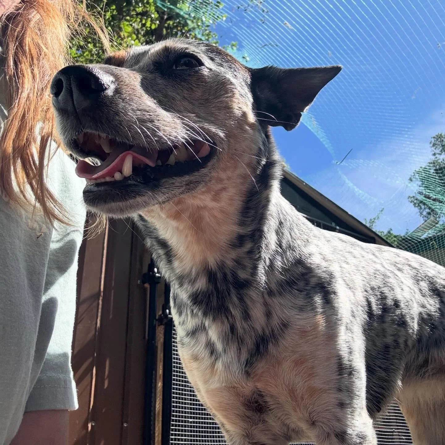 He&rsquo;s so cute and pretty