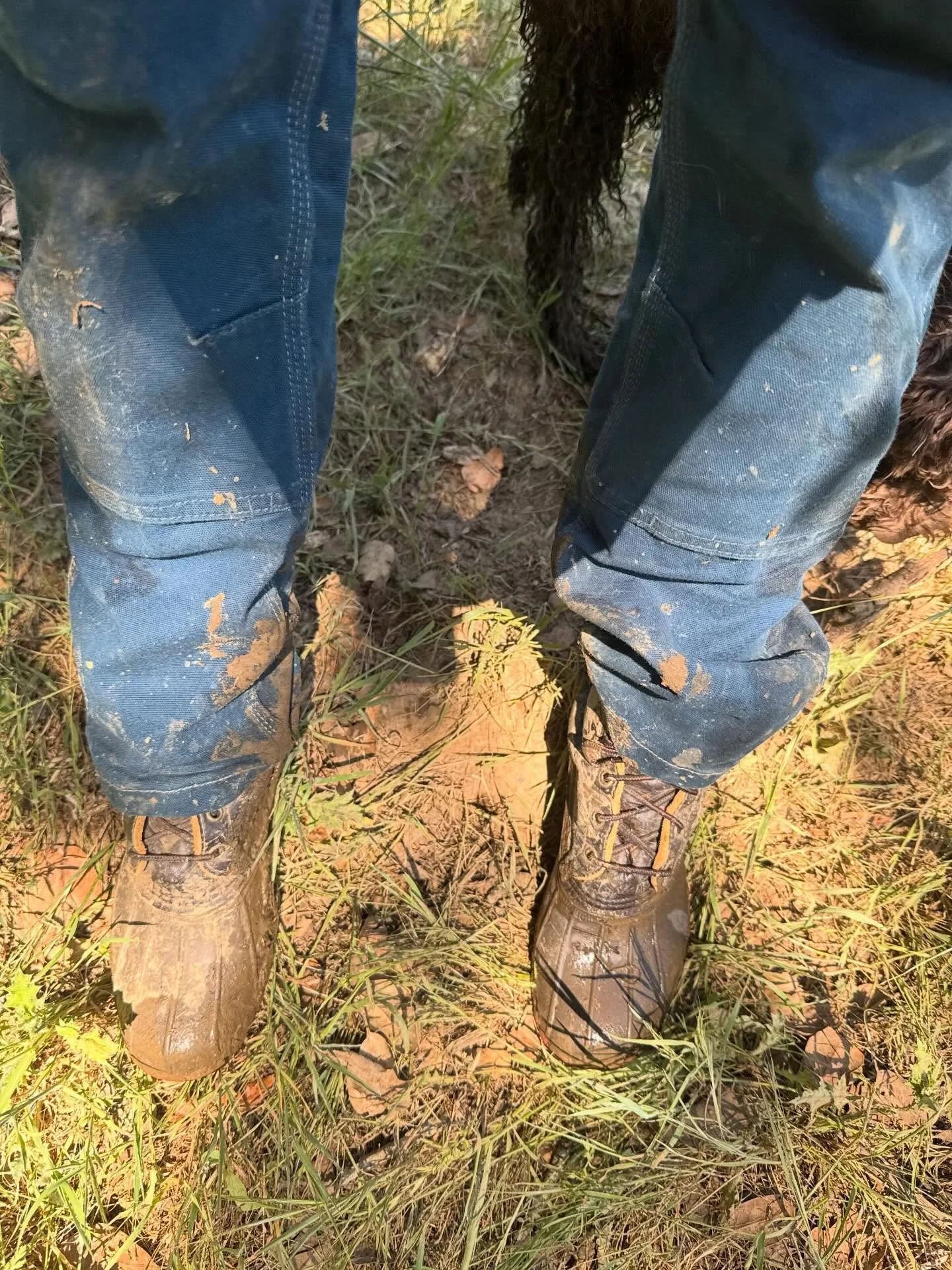 Anyone try to dig a trench in wet clay? Turns out it sucks.
#lowered the pond maybe 4&rdquo; though. So that&rsquo;s a win.
Since I won&rsquo;t be able to tell if the pond starts to grow something not so safe for dogs (and also there&rsquo;s mosquito