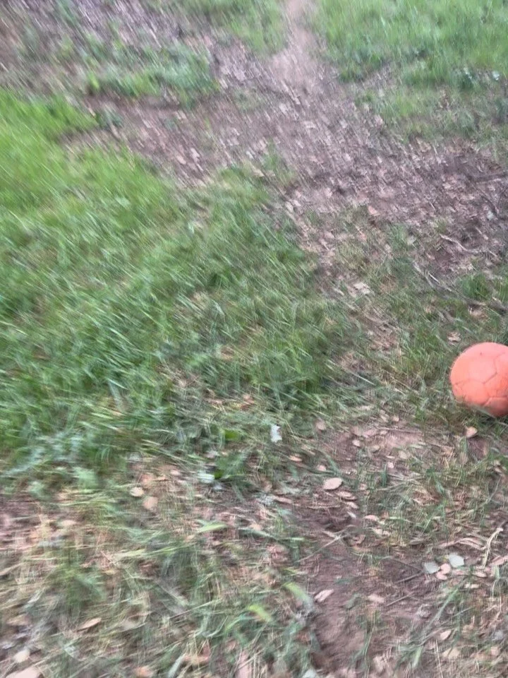 Life with Rizzo today