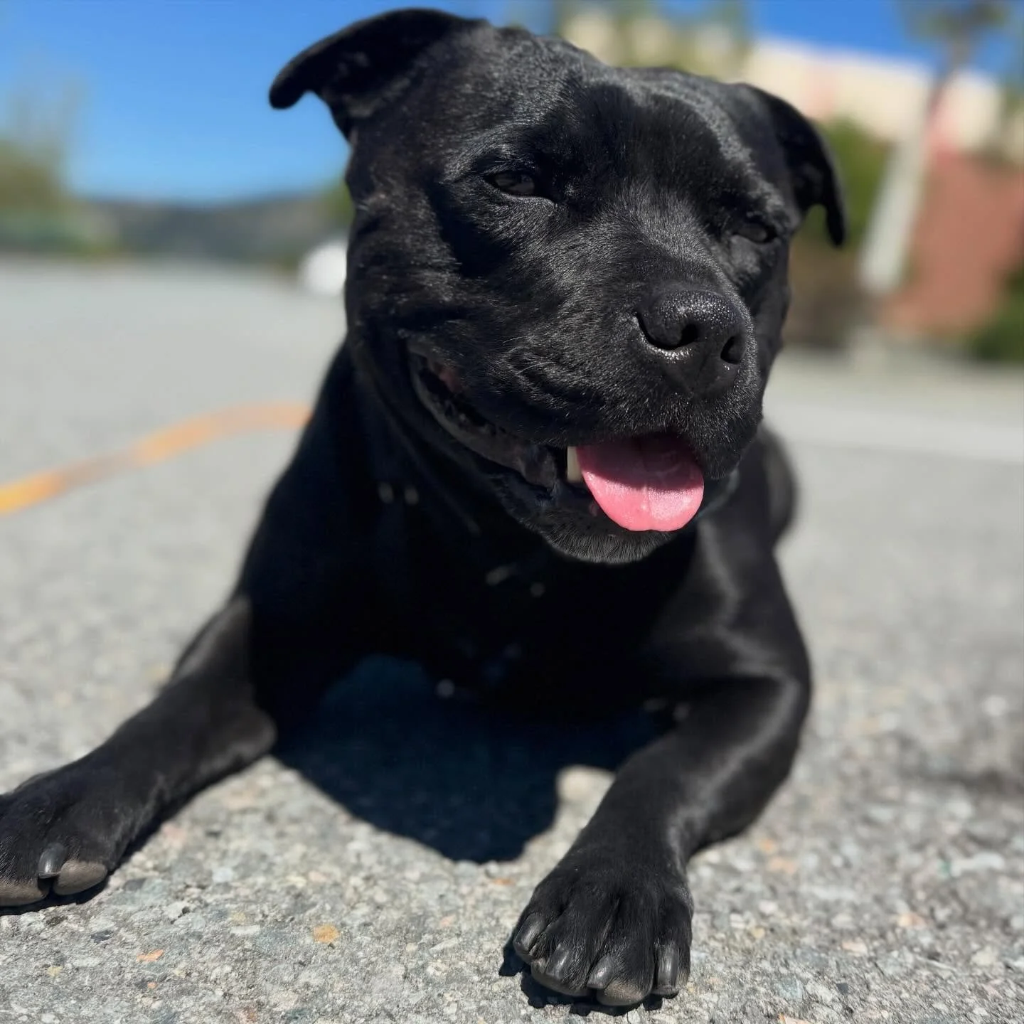 Oh never mind. Ela is the exact opposite!