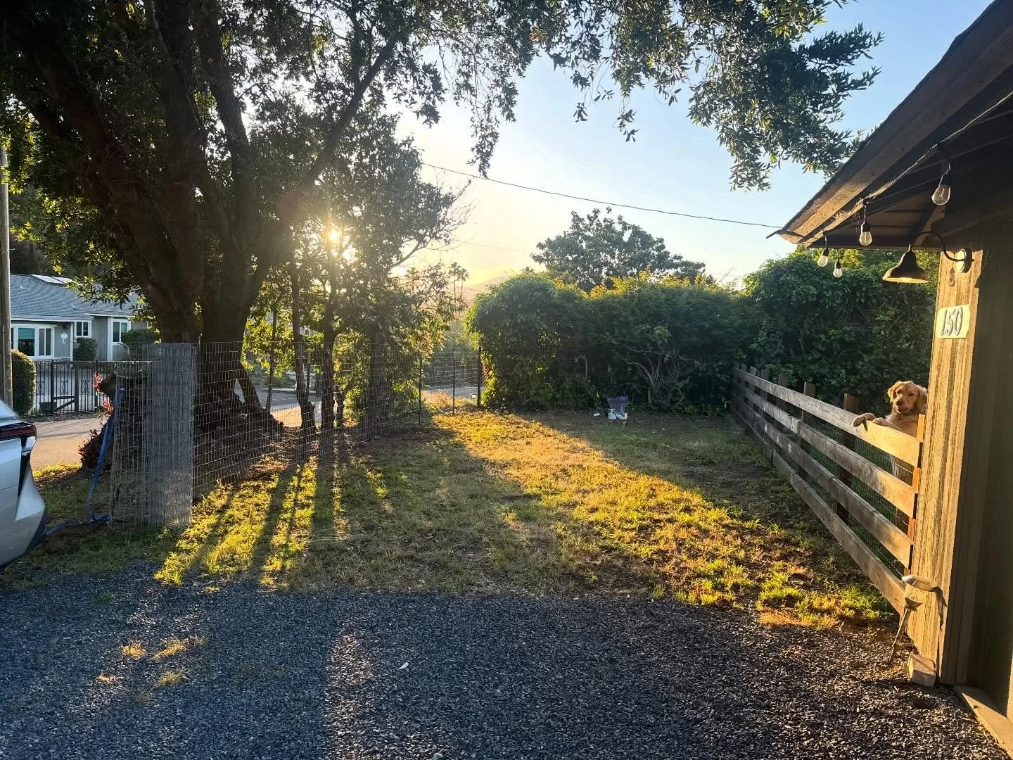 New fence!
