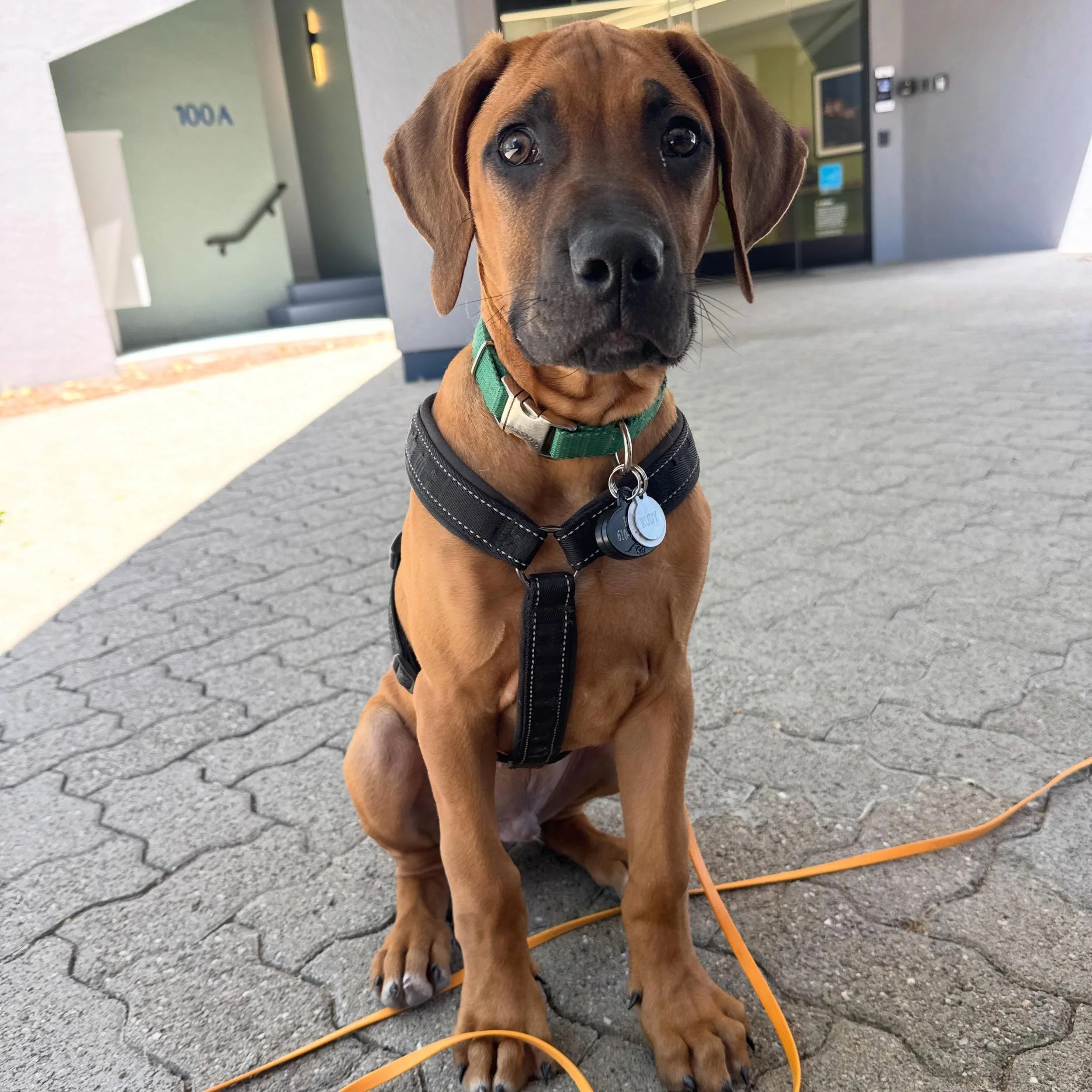 Rudy &hearts;️🥰
