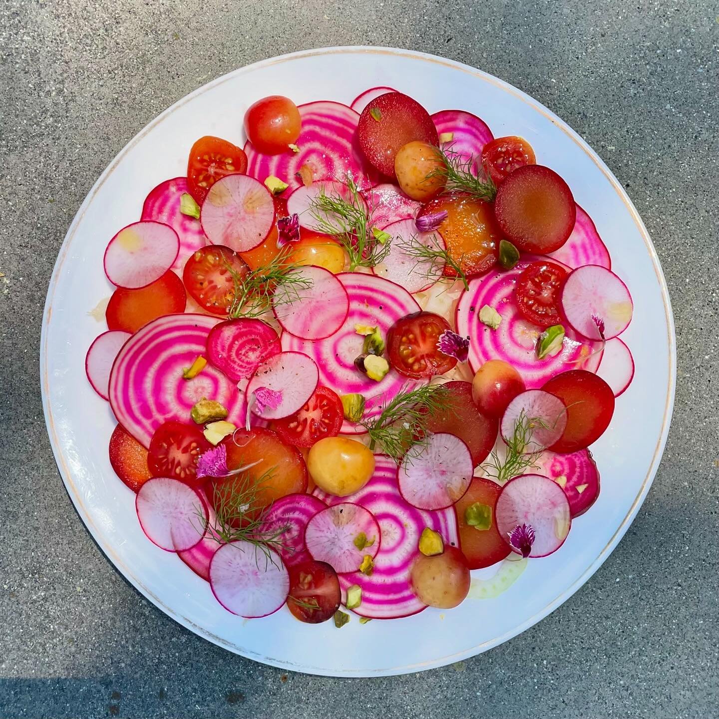 a little fridge clean out salad that turned out quite cute!! and quite pink!! very sweet chioggia beet, radish, shaved fennel, rainier cherries, cherry plums, baby heirloom tomatoes, pistachios, stracciatella, and more
