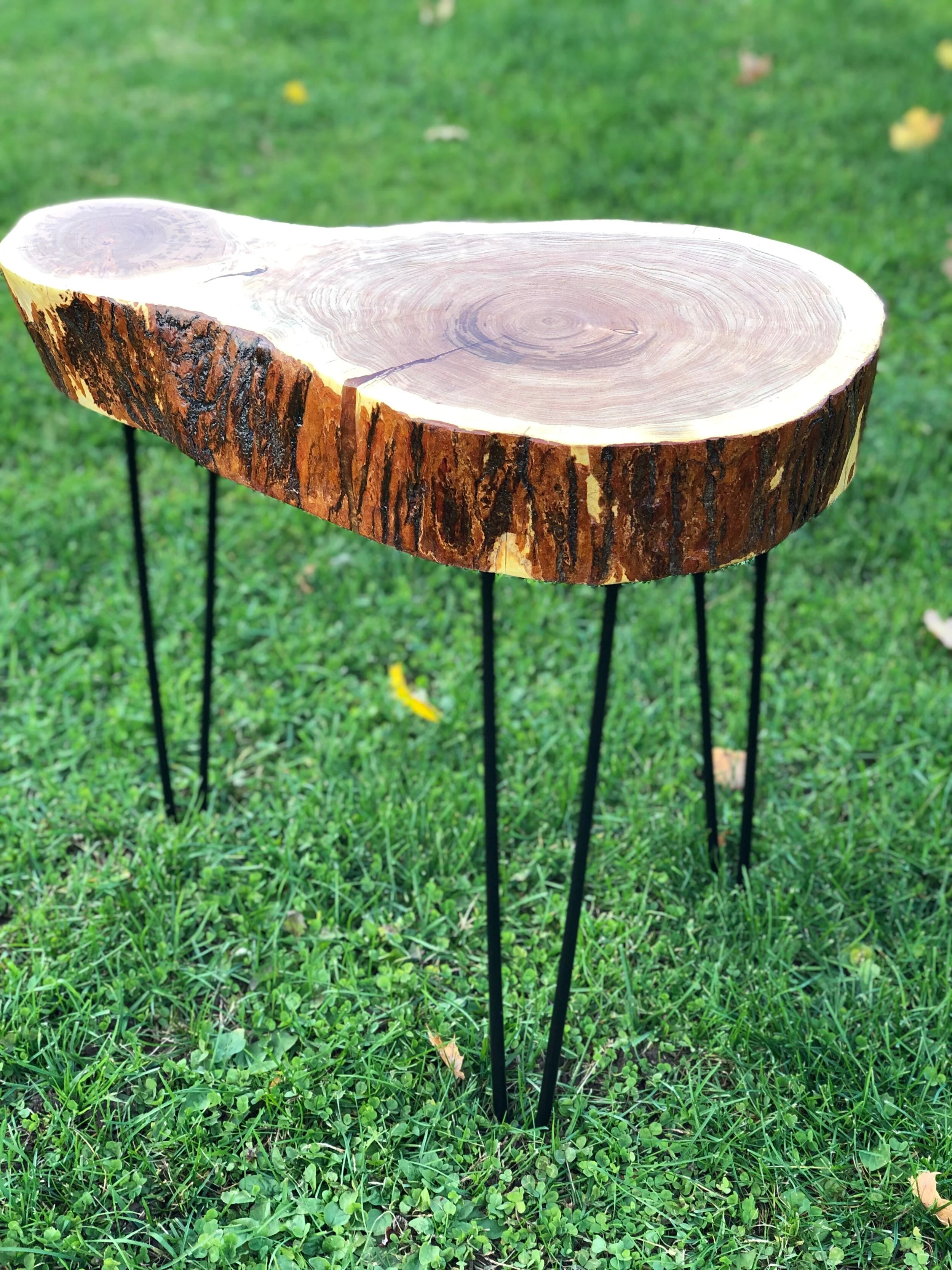 Honey Locust finished side 1b.jpeg