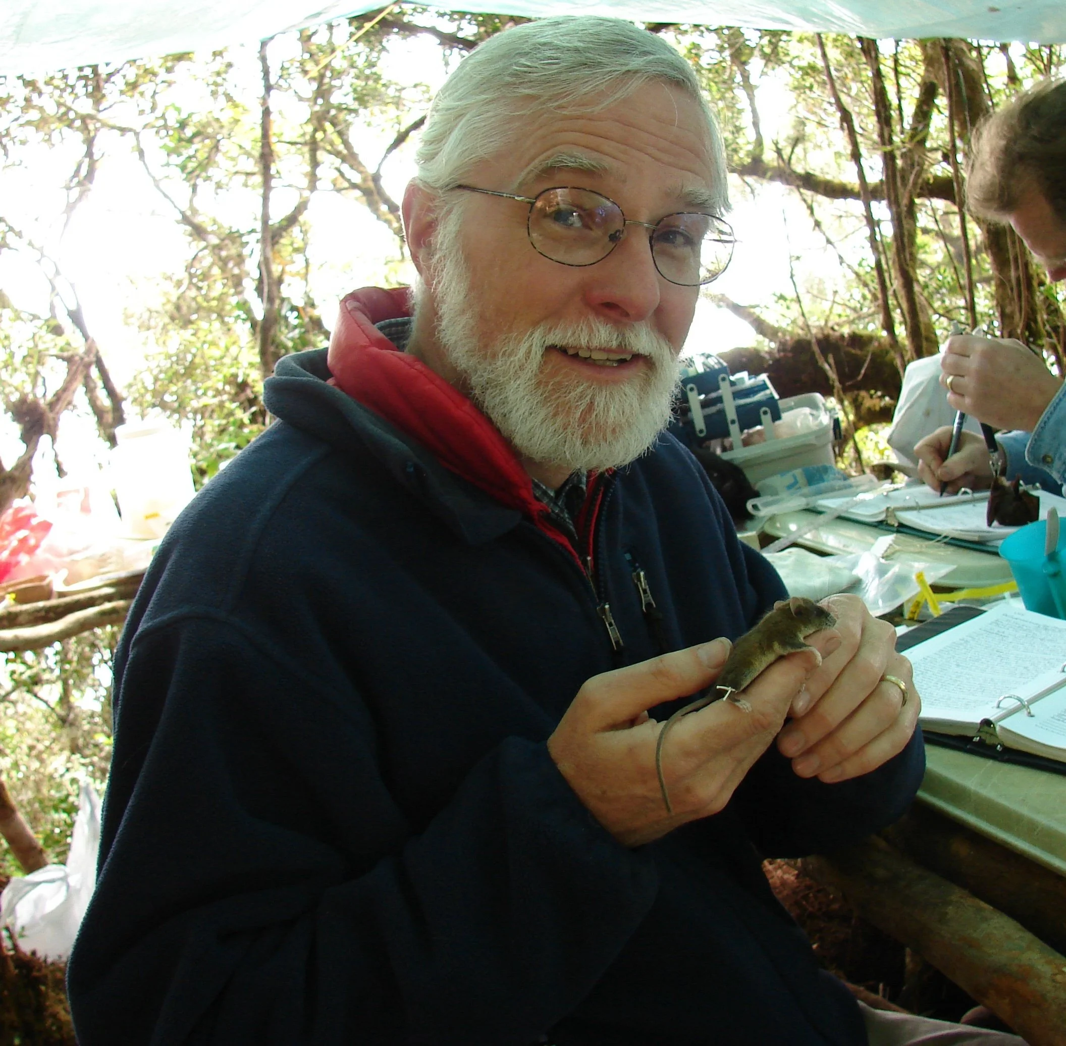 The rats of Evanston: Searching for solutions