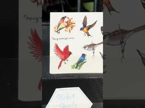 The Urban Birding Festival 2025 Recap