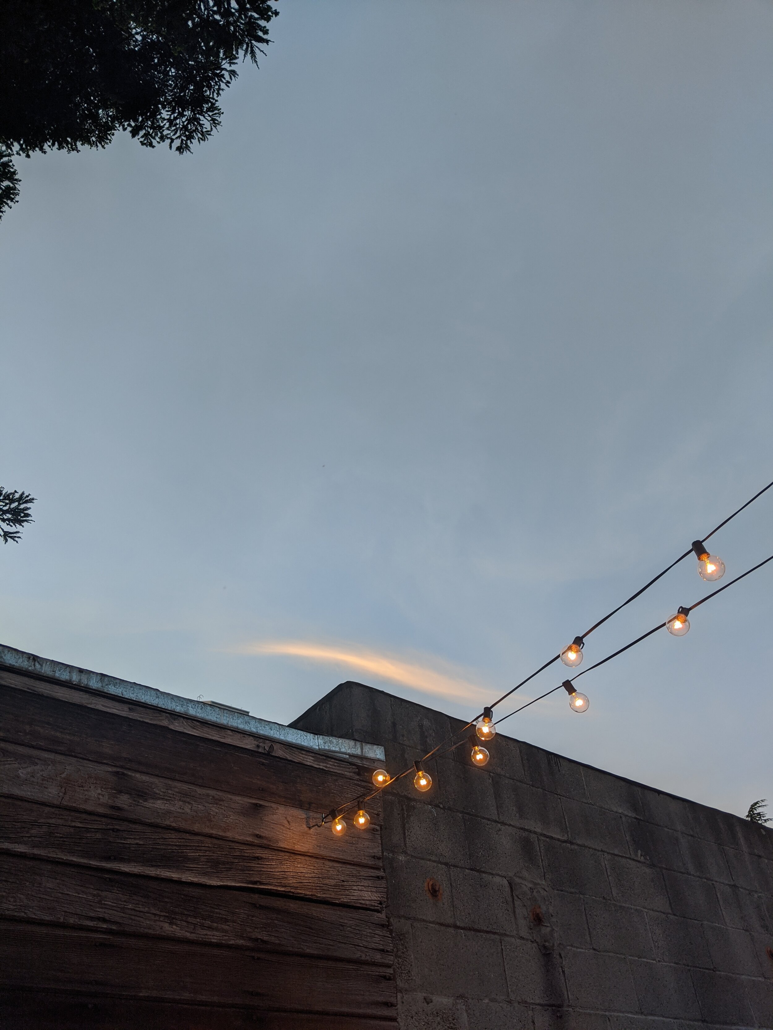 MVIMG_20200523_201924.jpg