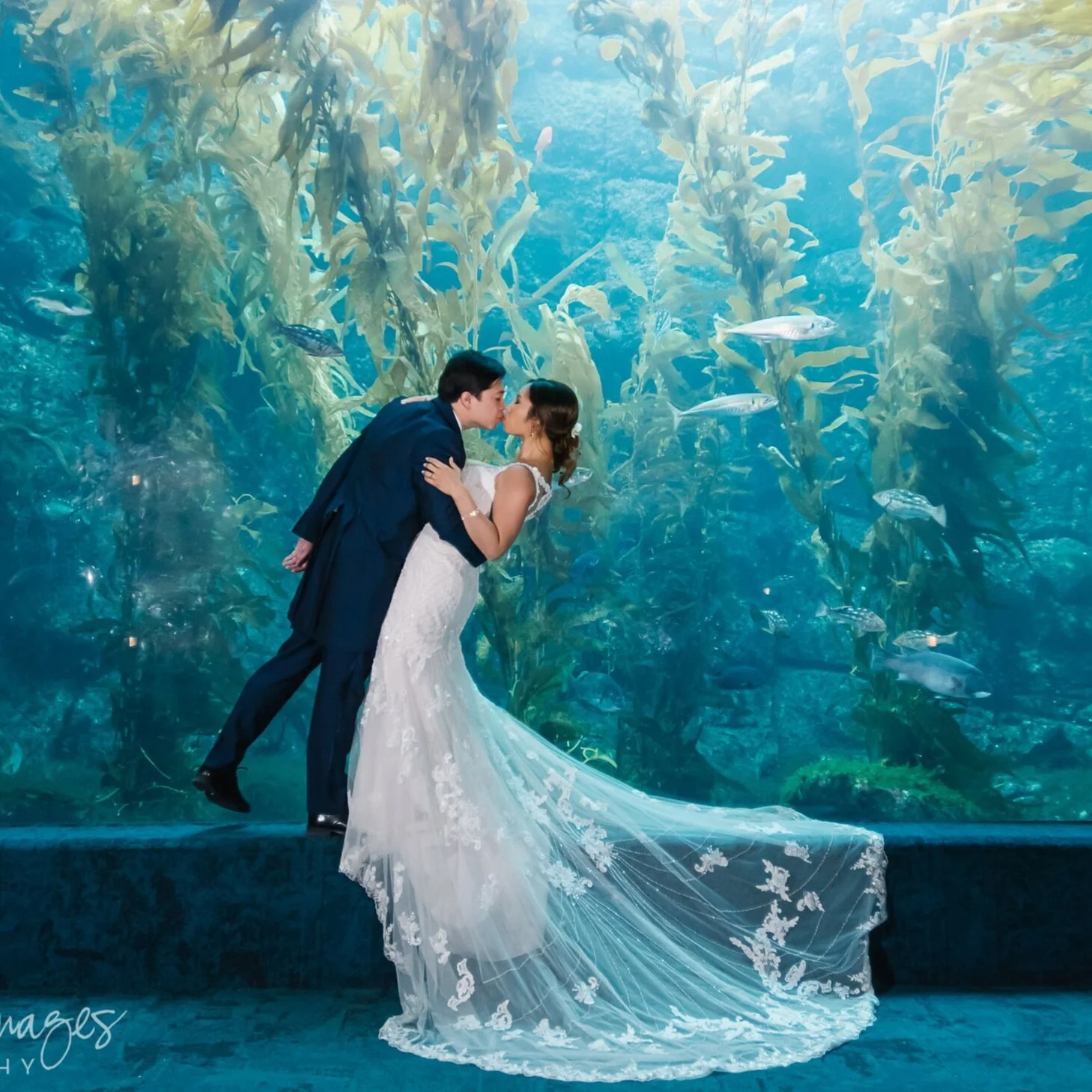 Aubrey &amp; Ben at the Scripps Birch Aquarium