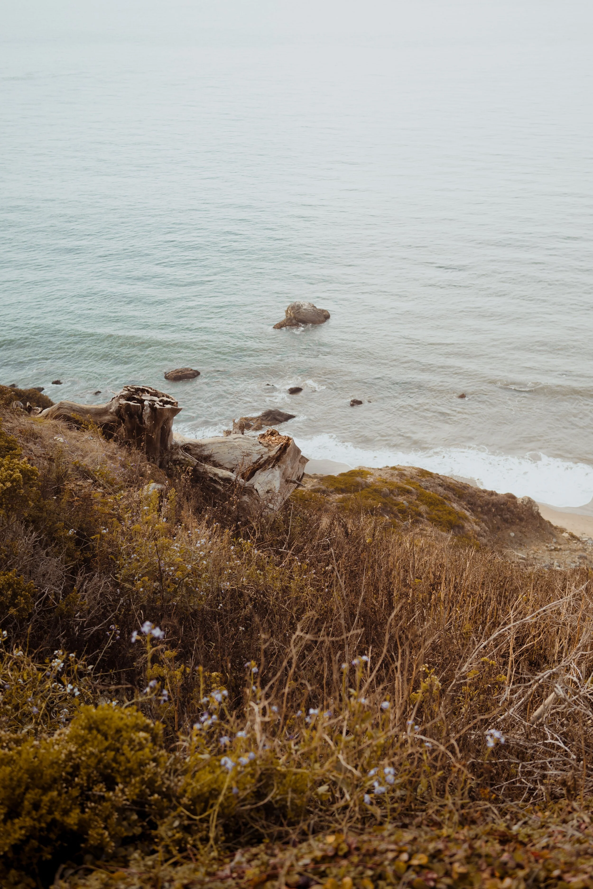 glauber-sampaio-8uqqSQ7GJbU-unsplash.jpg