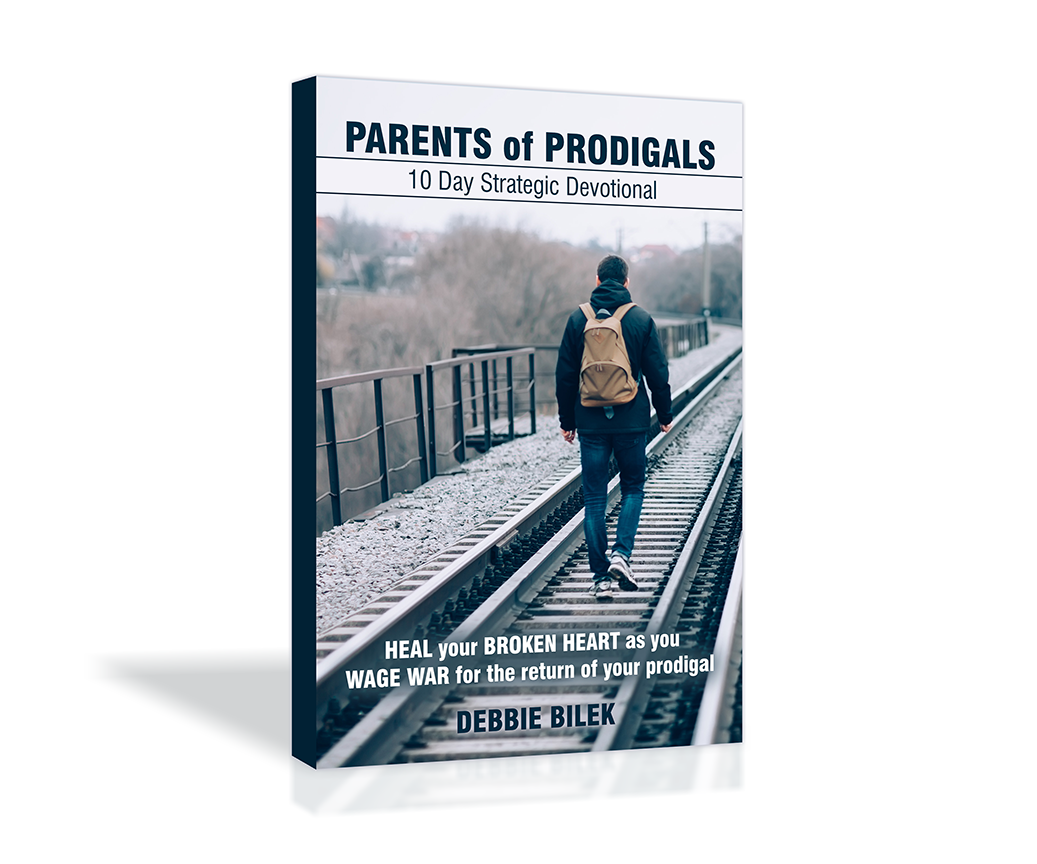 Parents of Prodigals book 3d cover.png