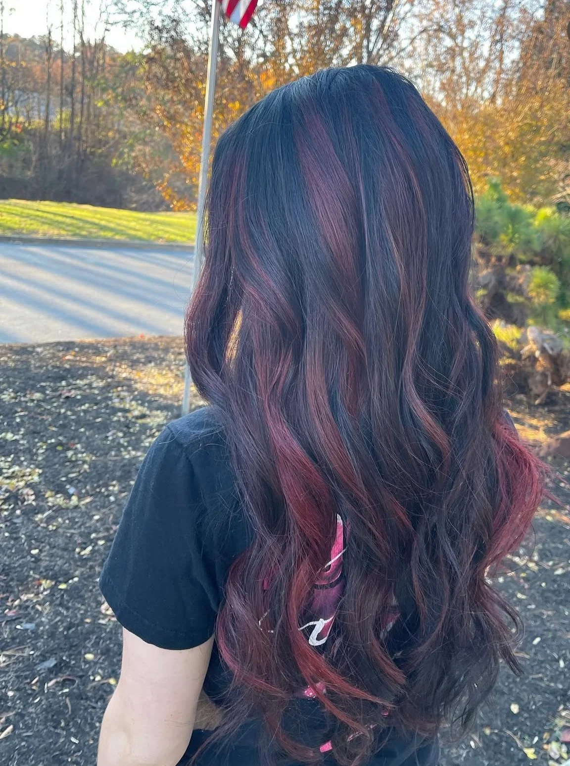 Back view of a woman with long wavy hair dyed in dark purple and pink shades, wearing a black shirt outdoors on a sunny day with trees and a flag in the background.