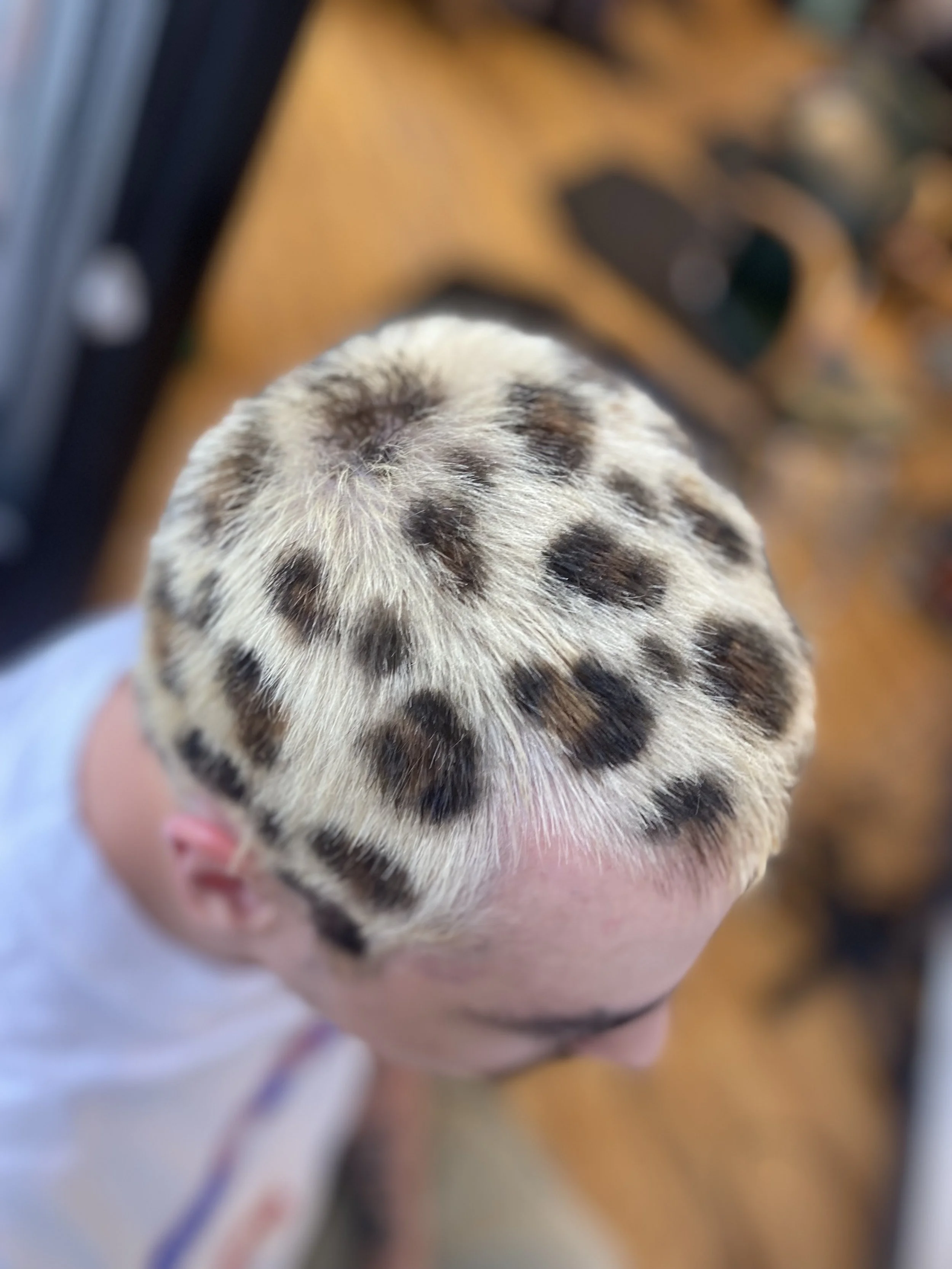 Top view of a person's head showing a short haircut with a leopard spot pattern, featuring black and brown spots on a blond or light-colored hair background.