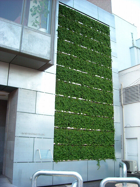 壁面緑化