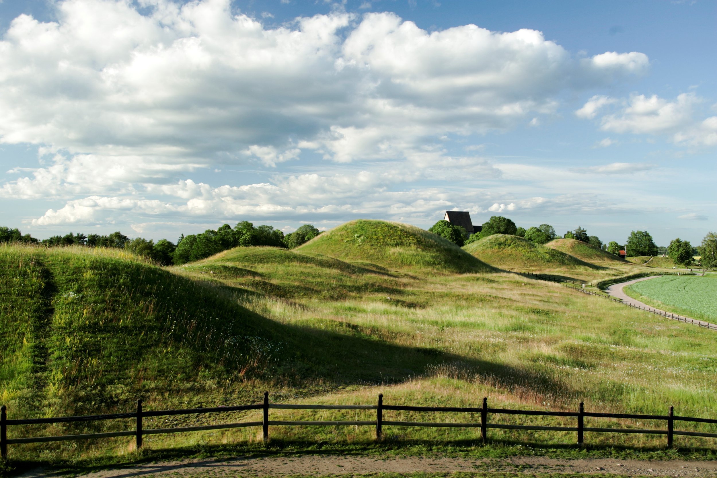 Gamla Uppsala högar 