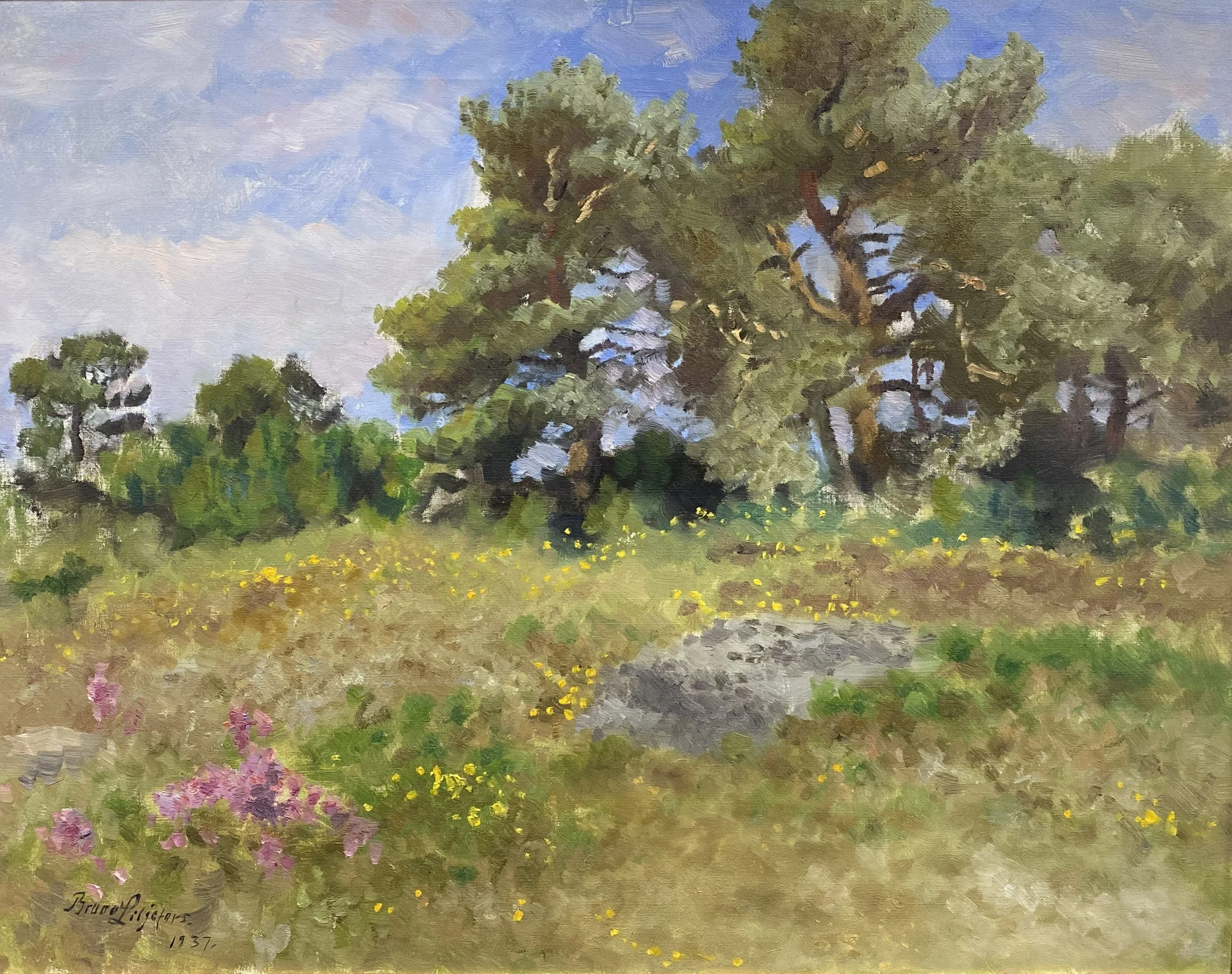 2. Torrbacke med blommor. UU 3597.jpg