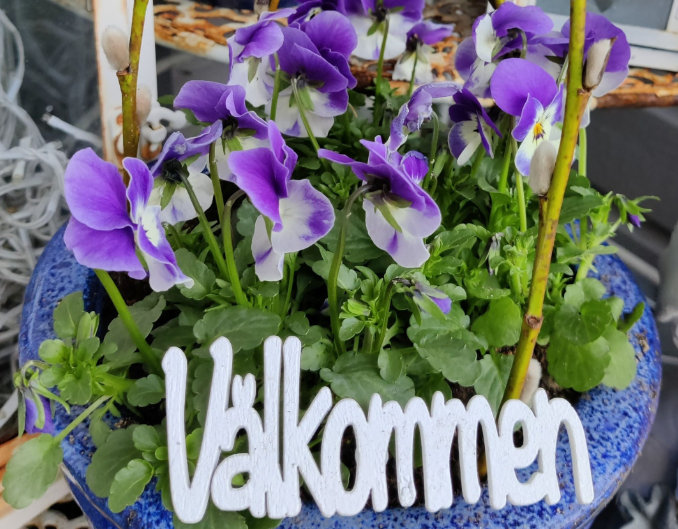 Åland Grönskar.png