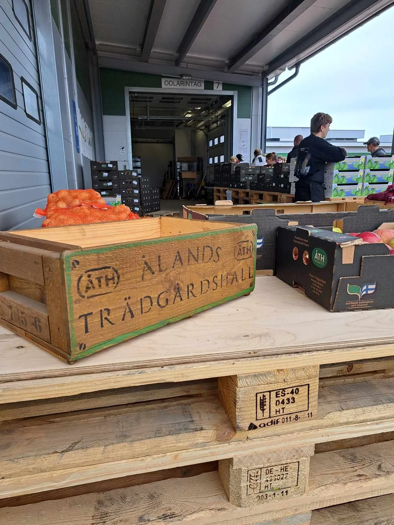Ålands Trädgårdshall på Skördefesten