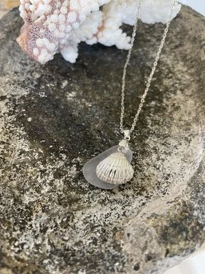 Seashell+2.jpg