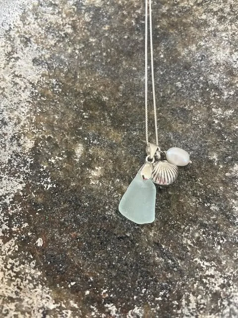 seashell1.jpg