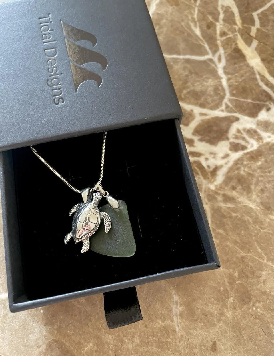 Green turtle 3.jpg
