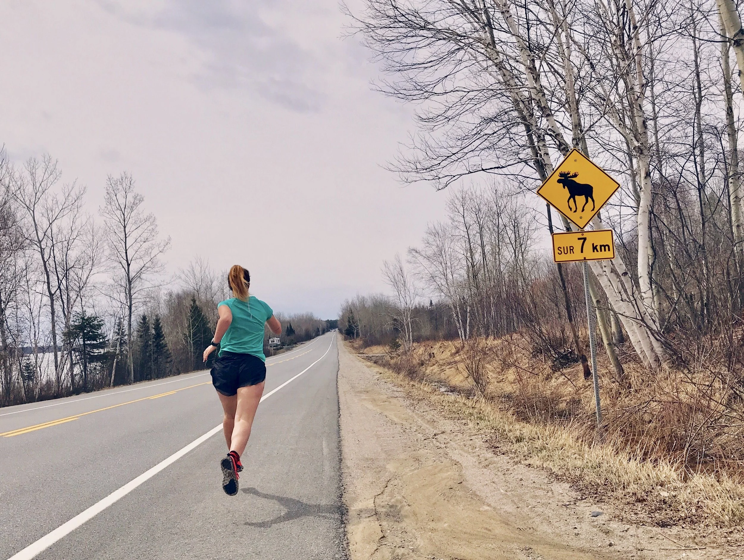 Le Lac Saint-Jean & la Pointe Taillon (Québec)