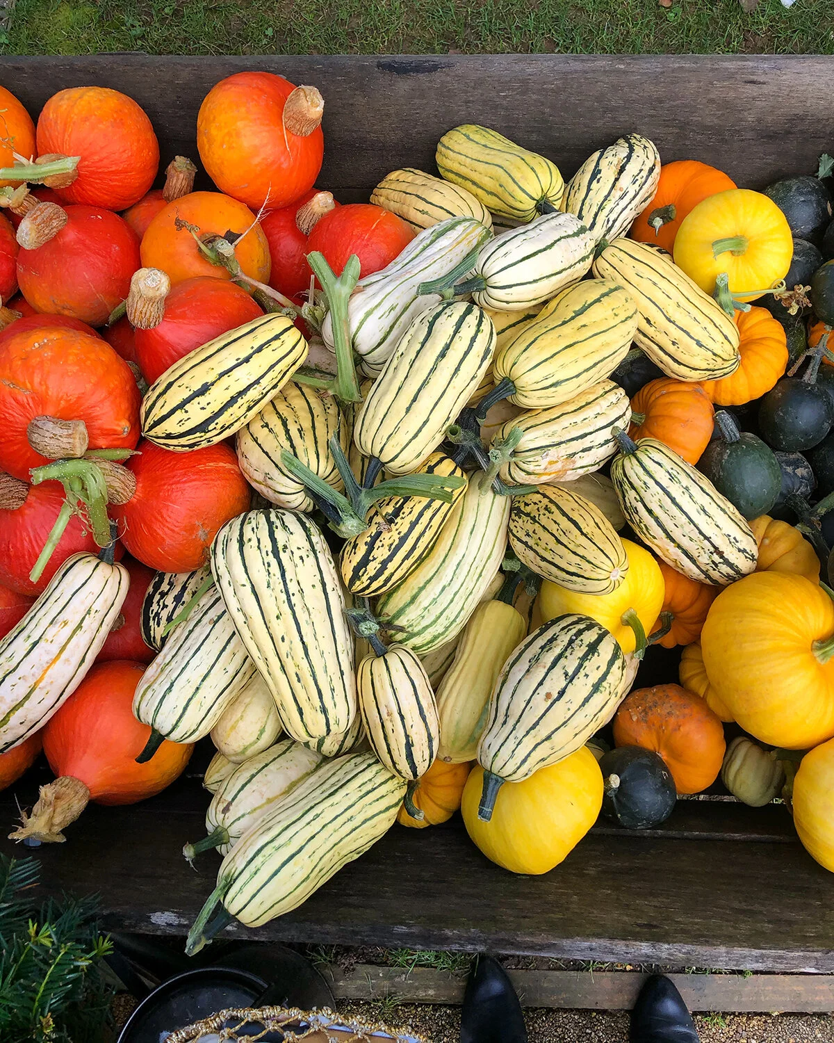 Daylesford Farm Visit