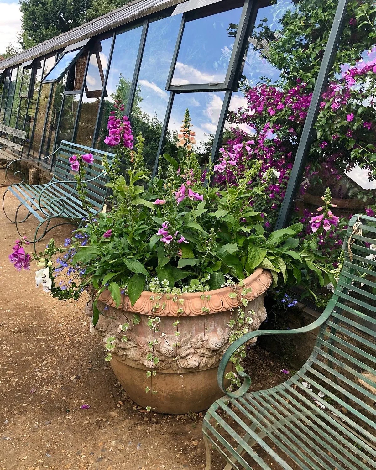 Afternoon Tea at Petersham Nurseries