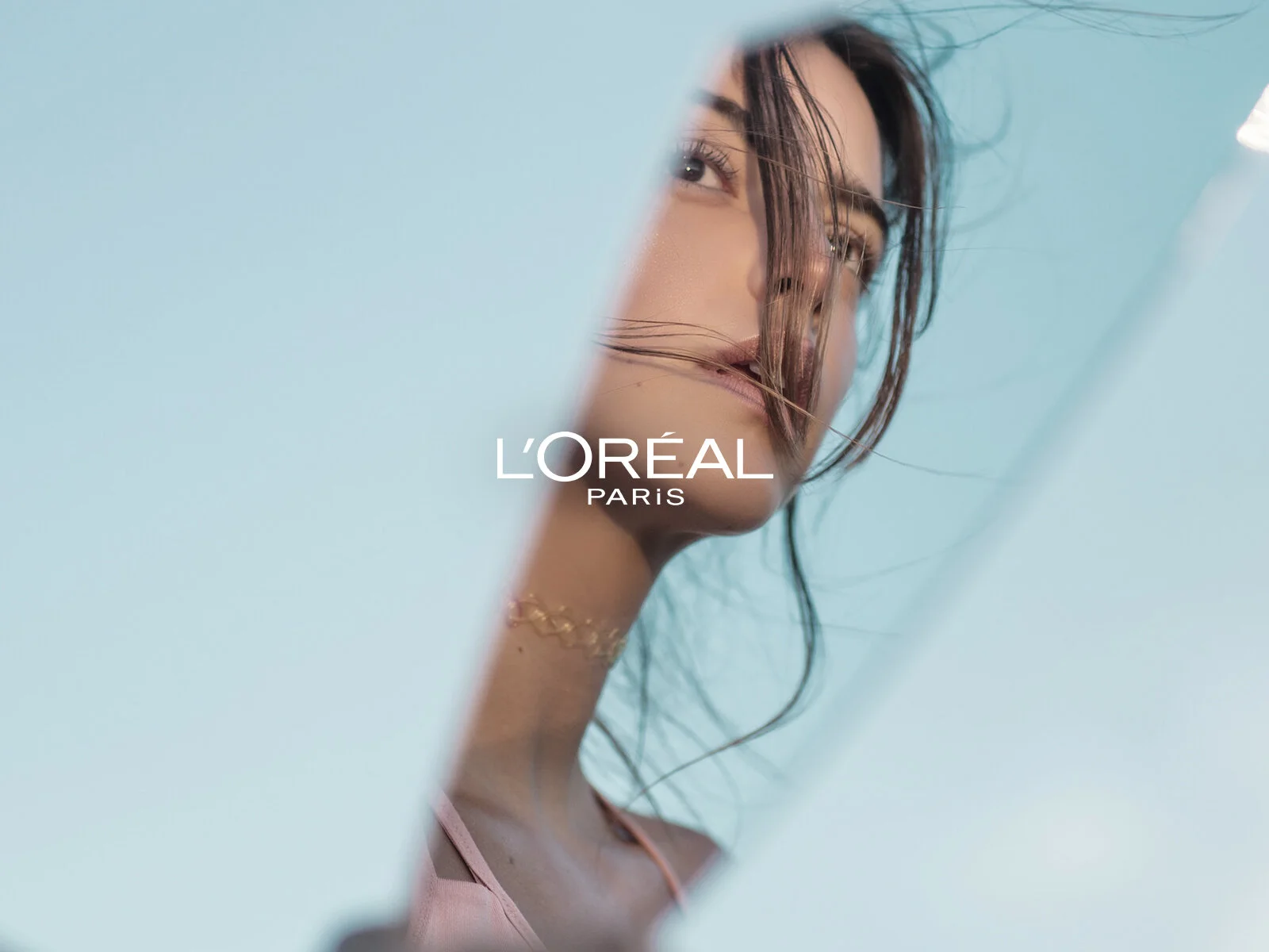 L'Oréal Pro