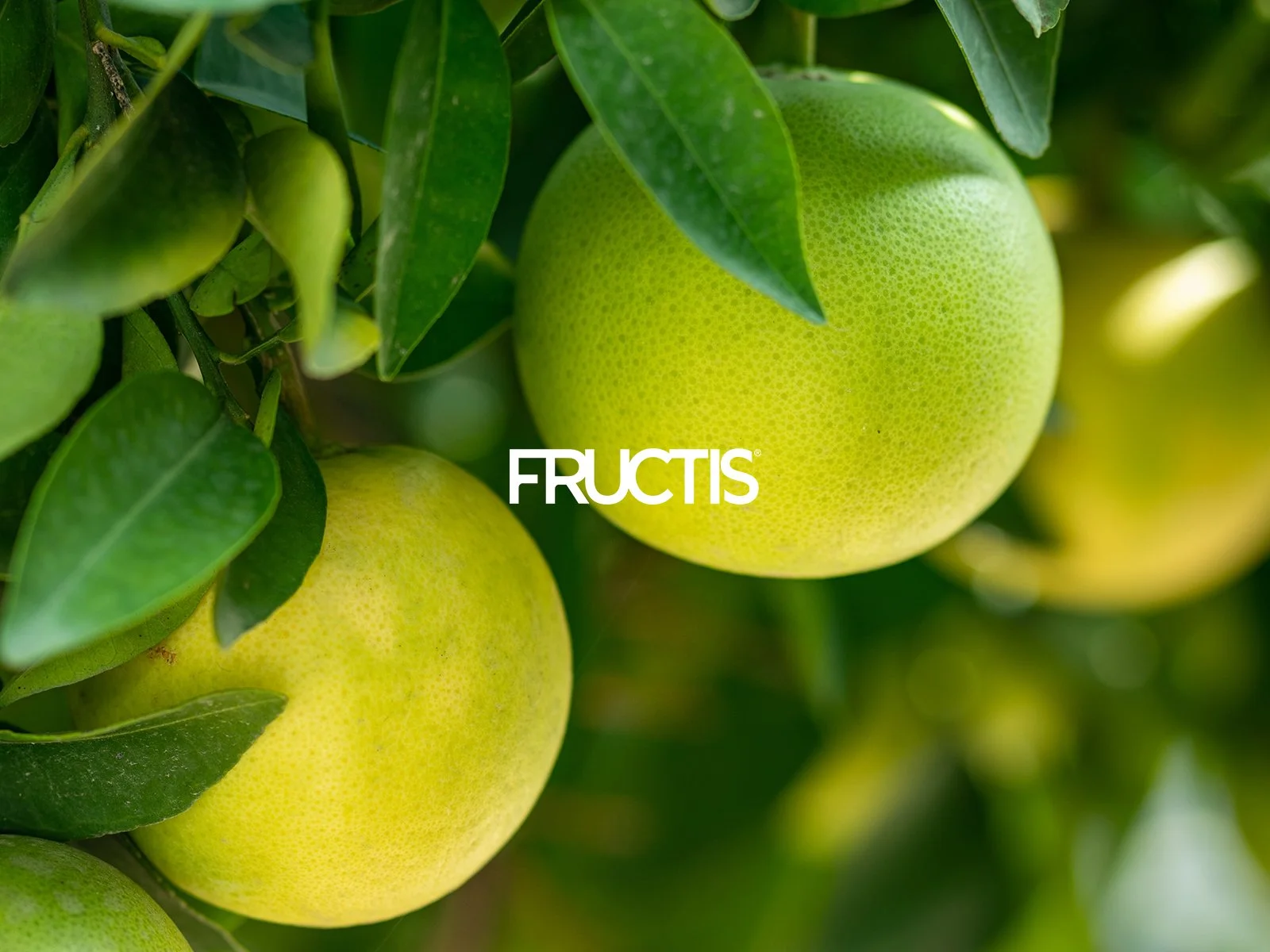 Fructis