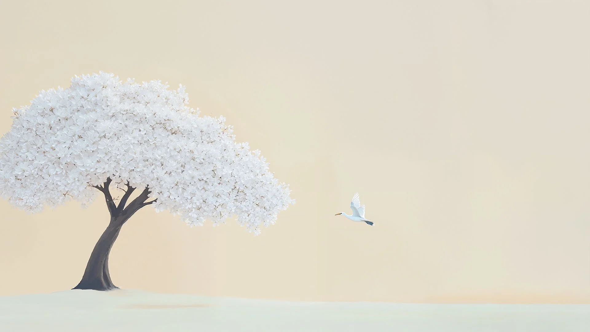 Arbre en fleurs blanches avec un ciel clair et un oiseau blanc en vol à côté pour Shiseido.