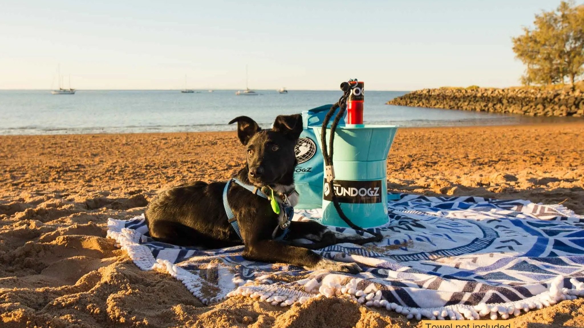 SunDogz Beach Umbrella