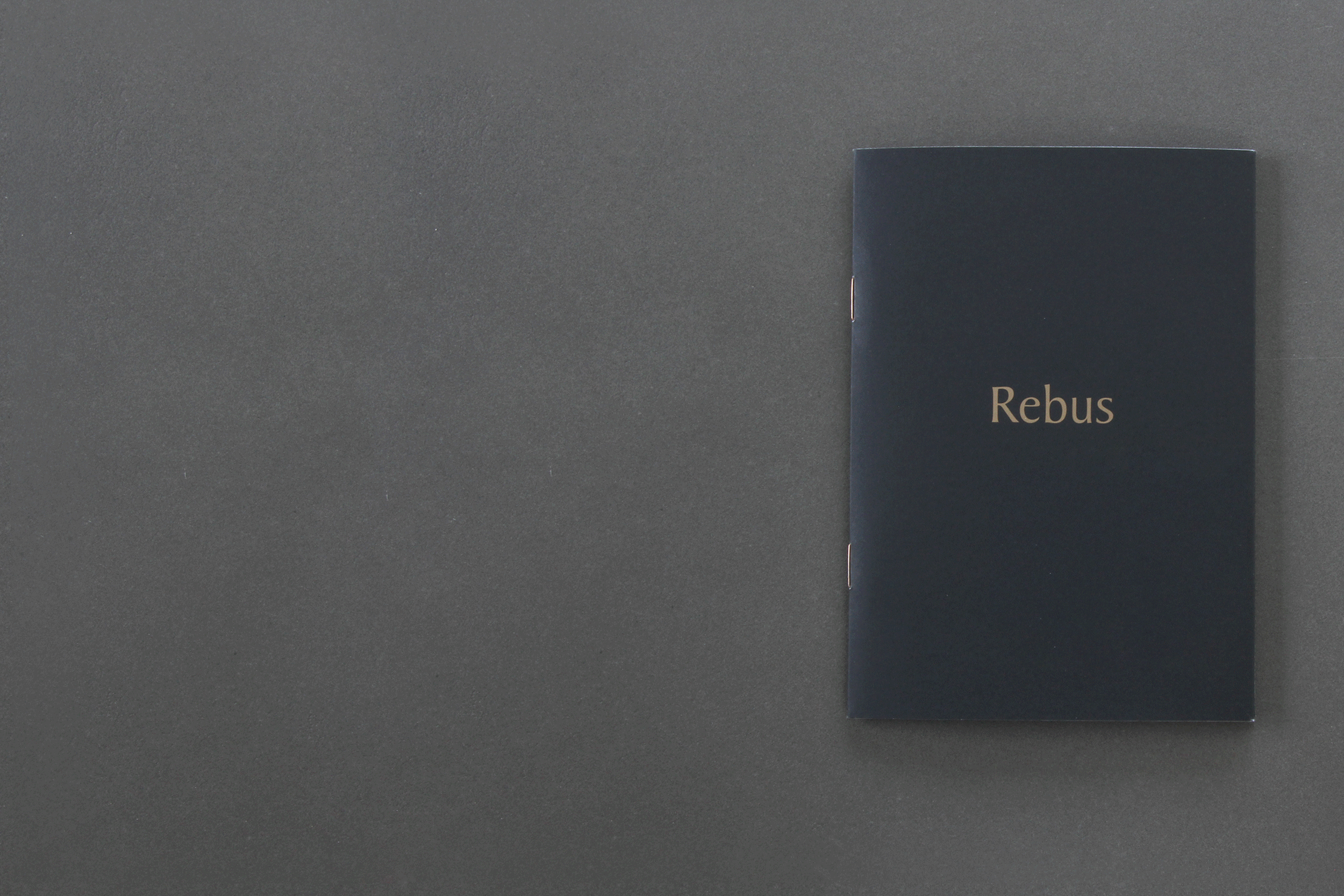 REBUS-BOOKLET.gif