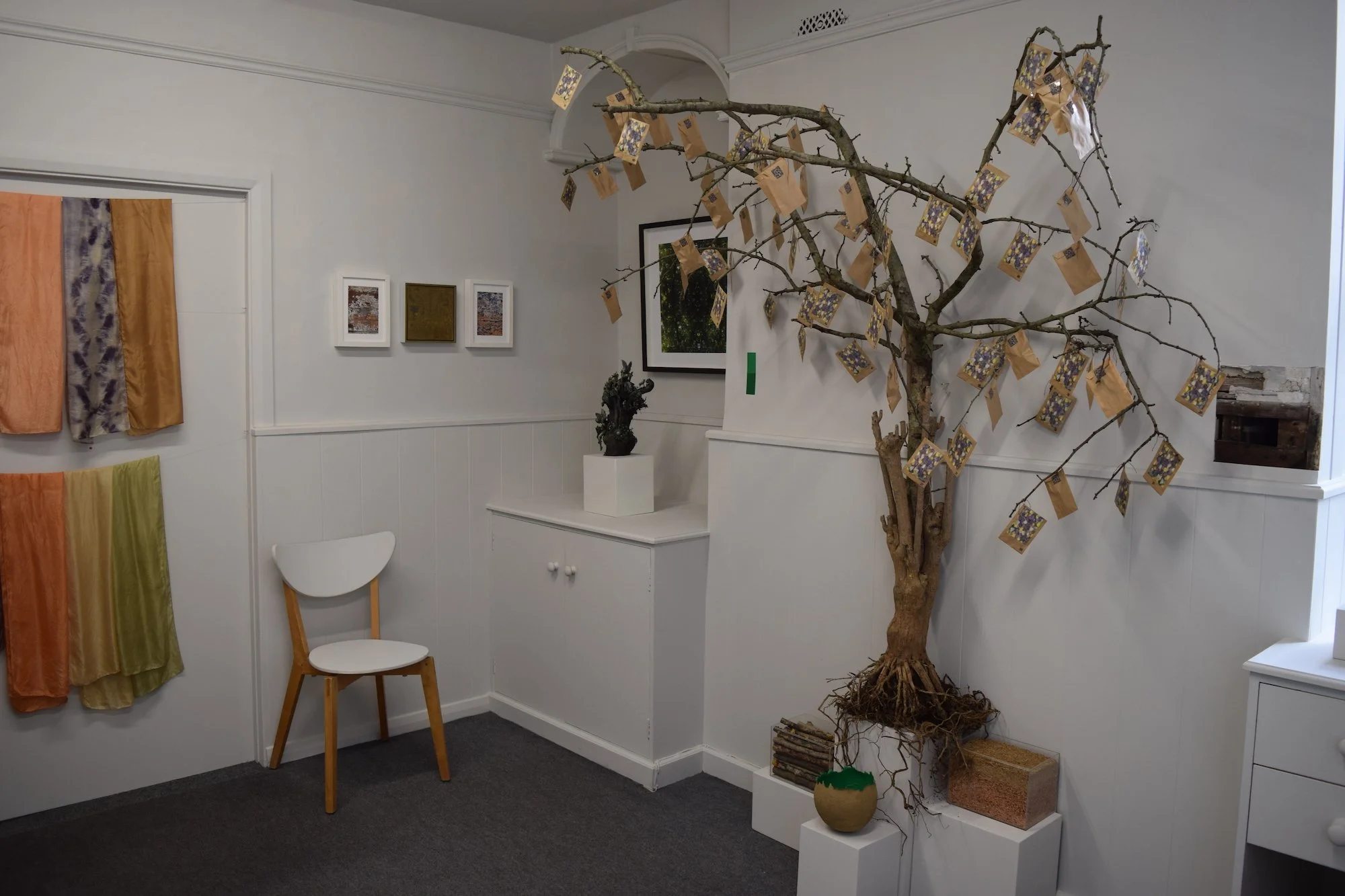 Gathering up continuun.jpeg