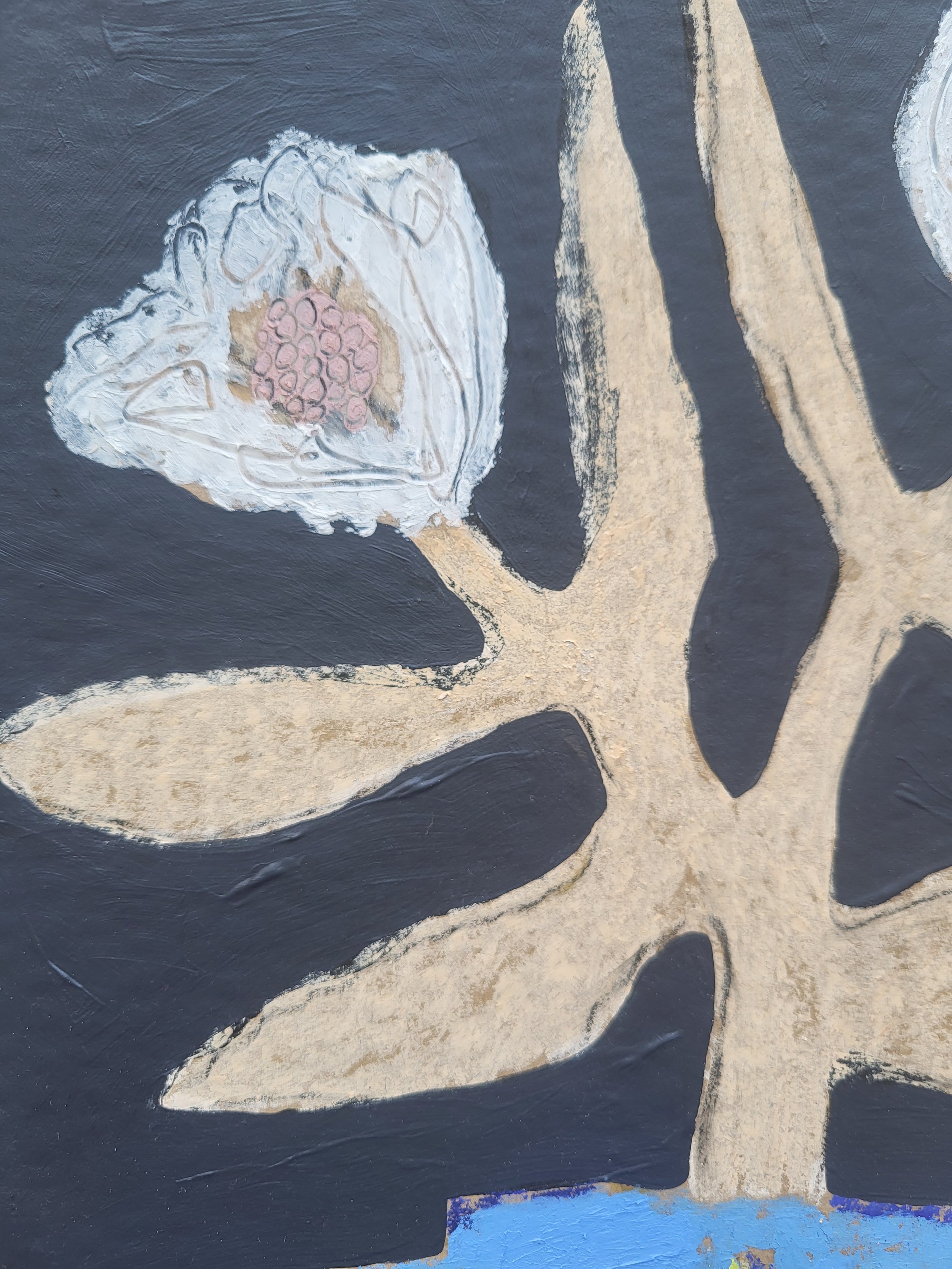 20260317_135235 (1).jpg