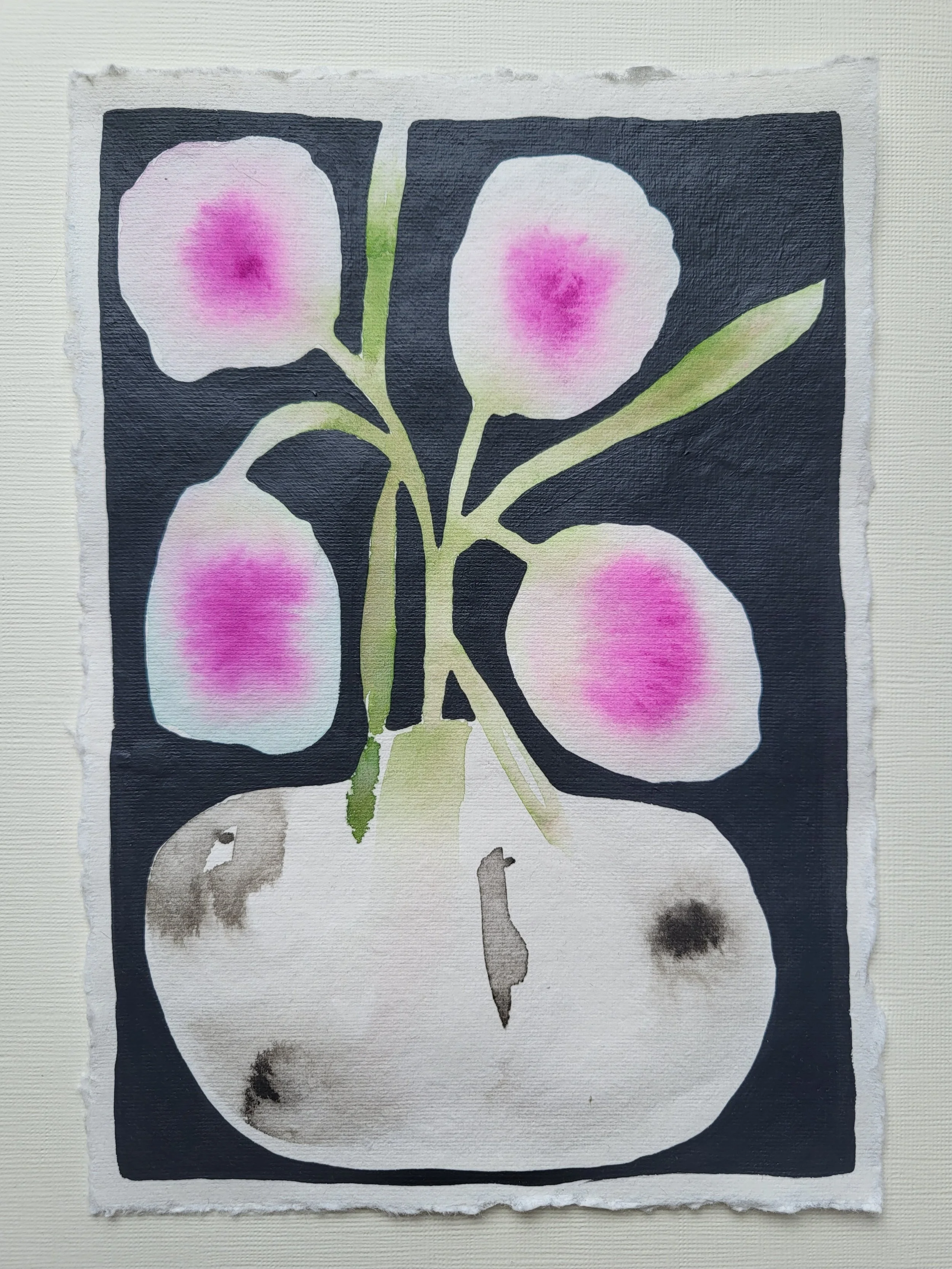 Study no. 1 - Softer Still