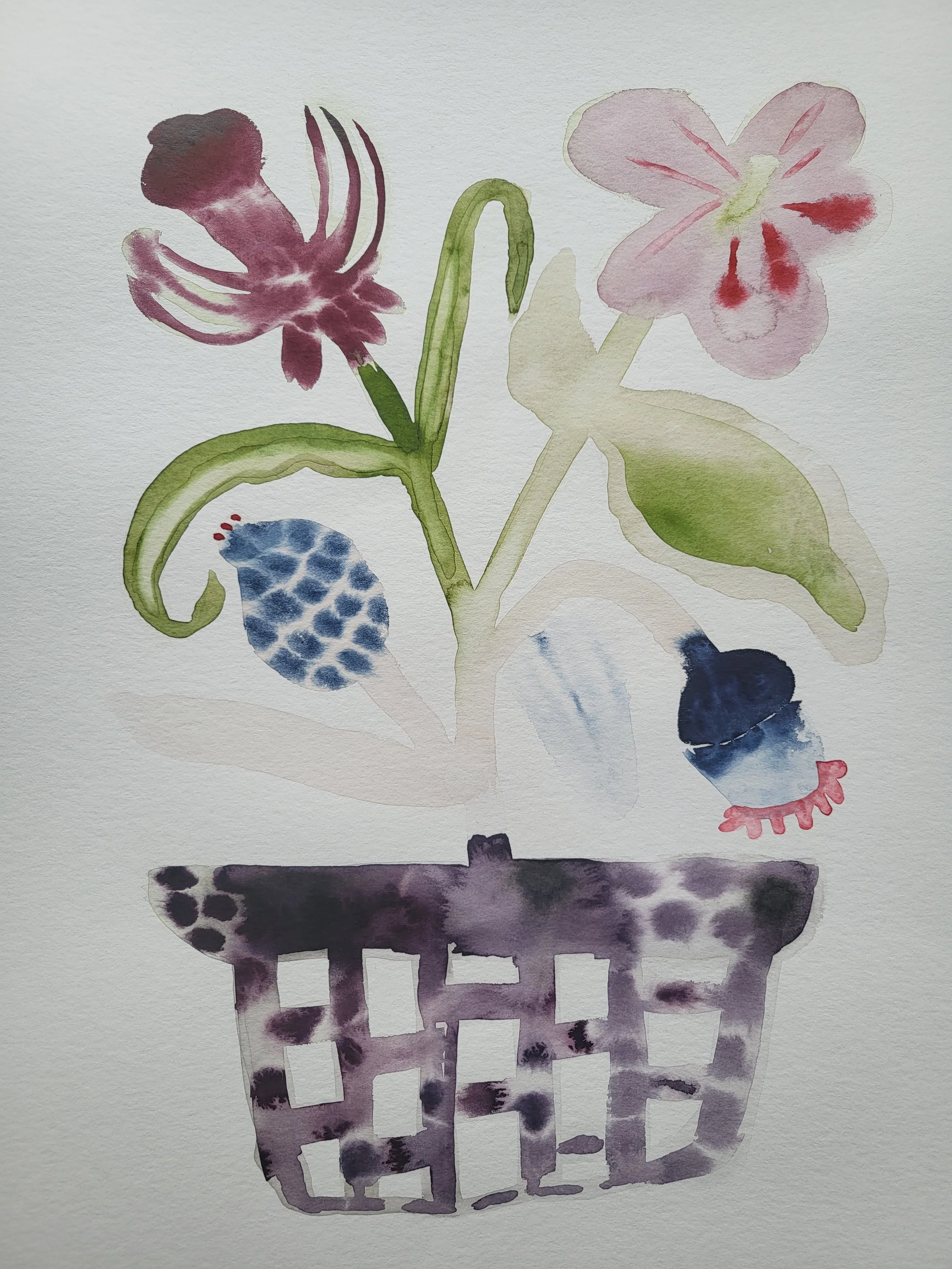 The Luck of the Draw