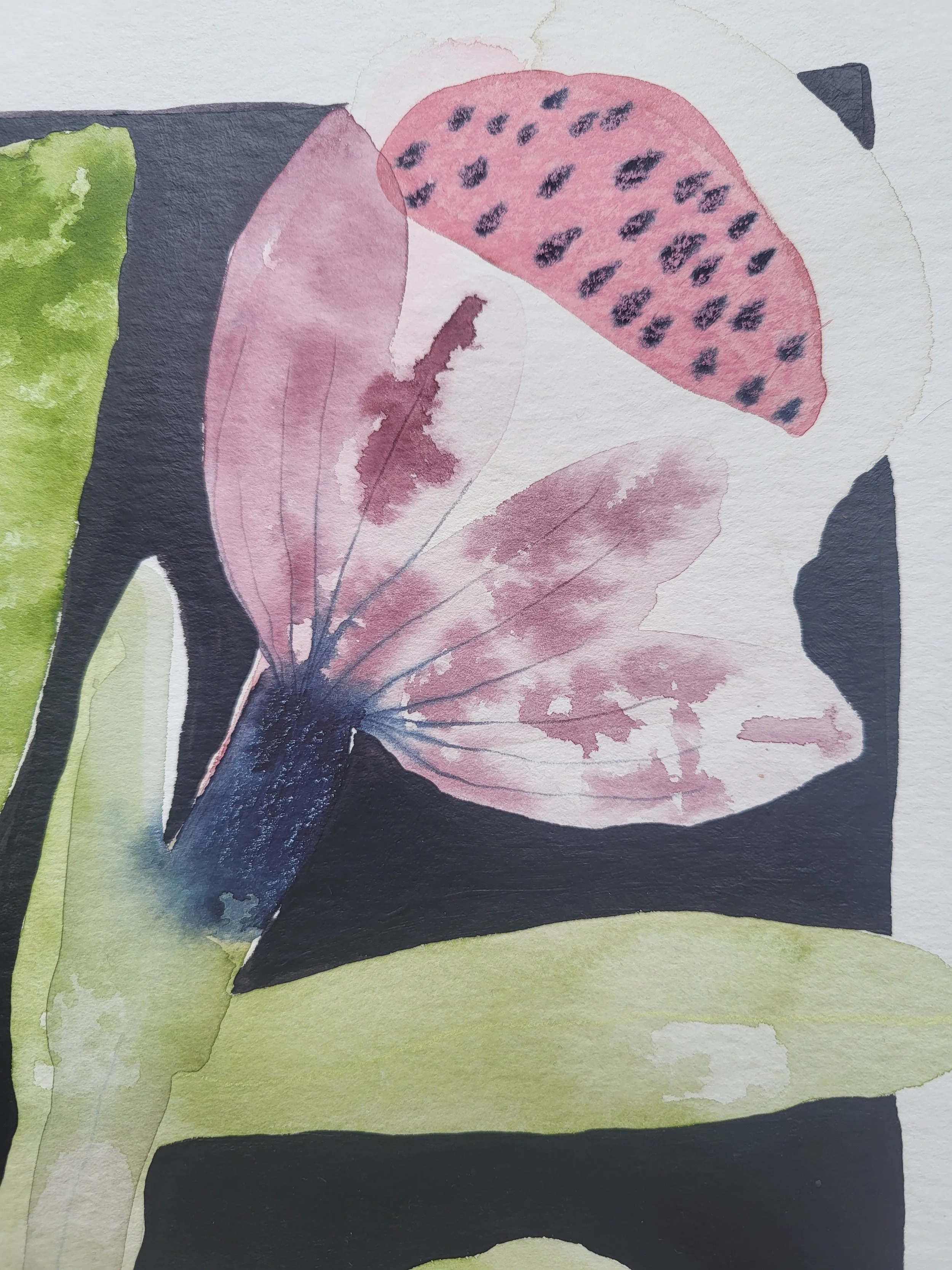 20260413_175536 (1).jpg