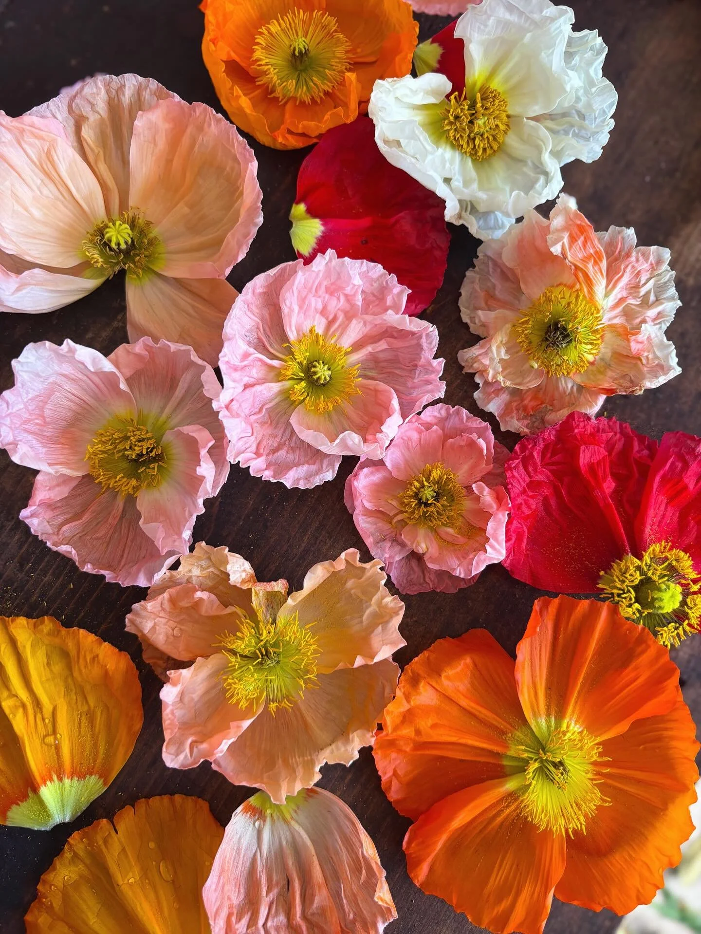 I&rsquo;ve been seeing a growing use of fake flowers within the floristry industry - but they&rsquo;re not for me.

I love flowers because of my interest in nature. In the moments through the seasons - the natural cycle of life that reminds us to mar