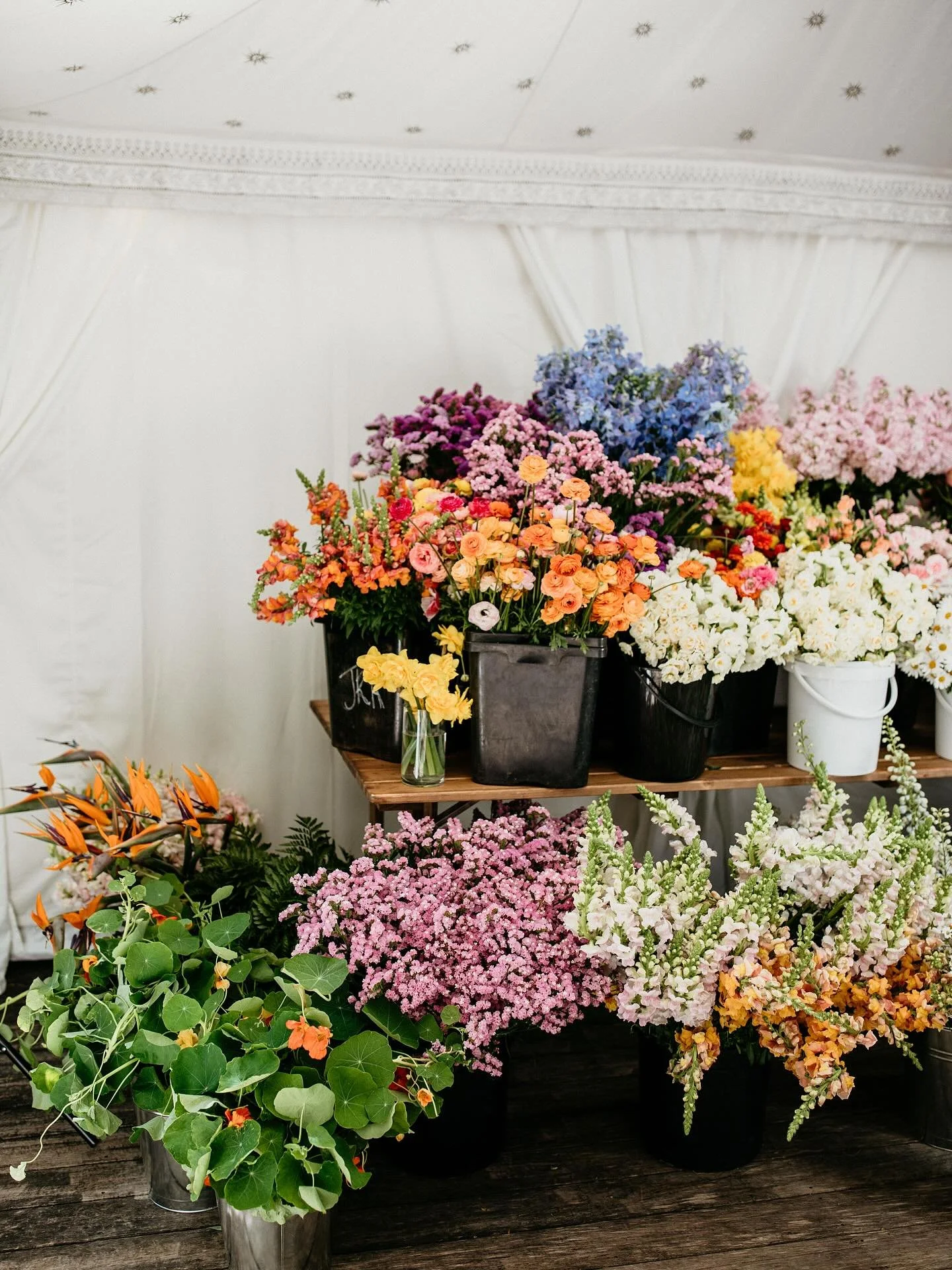 Spring Blooms 🌸 October in particular is a very exciting time in the flower world!

Bulbs are still blooming, waratah season has begun, lilac &amp; sweet pea are scenting the air, local roses are coming back in slightly bigger numbers, snowball is f